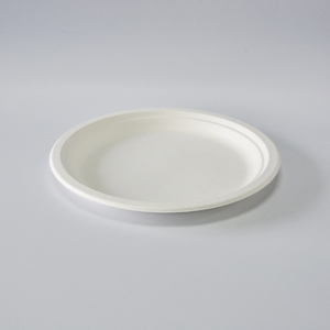 Meilleur Prix Assiettes jetables en bagasse de canne à sucre biodégradable de 10 pouces pour plats à emporter - Product Image 2