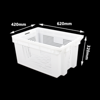 Caisse en plastique ventilée robuste JOIN, perforée et empilable, pour le stockage des fruits, des légumes et la logistique d'entrepôt