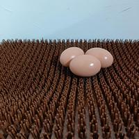 Tapis de nidification pour poules, coussinets de ponte pour élevage avicole, lavables, pour poulaillers et nichoirs
