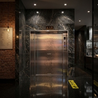 Restaurant-Küchen-Speiseaufzug 100kg, AC-betrieben, aus 304 Edelstahl, Mini-Speiseelevator, modernes Design