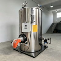Générateur de vapeur à granulés de biomasse en acier au carbone avec porte extra-large, configuration horizontale pour l'industrie du traitement du bois