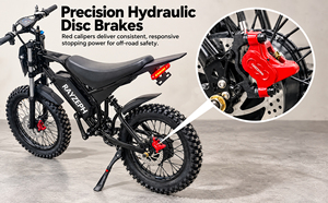 Bicicleta Eléctrica de Montaña Personalizada 52V25Ah con Suspensión Completa, 7 Velocidades, Frenos Hidráulicos, Bicicleta Eléctrica Todoterreno - Product Image 5
