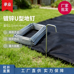 Chengye U-Shaped Ground Stakes Stainless Steel 2.5mm 3.0mm 4.0mm For <b>Gardening</b> Outdoor Fixing <b>Tools</b> - Product Image 4