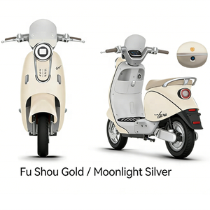 Scooter Eléctrico de <span class=keywords><strong>2</strong></span> Ruedas con Apariencia Atractiva en Colores Rojo, Verde, Gris y Blanco, Modelo EEC COC para el Mercado Brasileño - Product Image 4