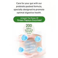 Poudre enzymatique probiotique de légumes verts pour adultes OEM/ODM – Soutien biologique pour la flore intestinale et la détoxification quotidienne, idéale pour les régimes riches et gras