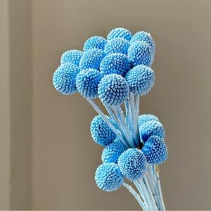 Boules dorées éternelles naturelles préservées en gros, solution tout-en-un pour la décoration de mariages, de la fête des Mères et de Noël - Product Image 6