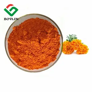 Luteína Pó Marigold Flower Extract 20% Luteína Zeaxantina Luteína