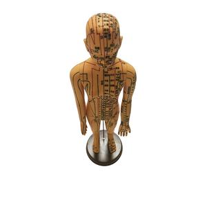 महिला एक्यूपंक्चर मॉडल मैनिकिन बिंदुओं के साथ चिकित्सा विज्ञान उत्पाद - Product Image 6