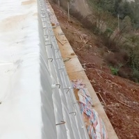 Tejido de Refuerzo Geotextil de Alta Tenacidad con Hilos de PET y PP para Relleno de Muros de Contención