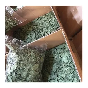 Nautral-Hojas de molookhia egipcia secas verdes, 100% orgánico puro, primera calidad, triturado y polvo, en venta