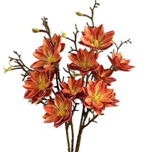 2026 Steli di Magnolia <span class=keywords><strong>in</strong></span> Silicone Real Touch da 70 cm, Ramo di Loto Artificiale Realistico a 3 Teste Profumato per l'Arredamento Moderno della Casa - Product Image 5
