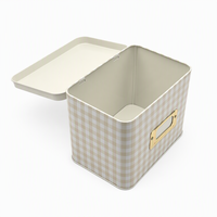 Boîte en étain rectangulaire décorative personnalisée avec couvercle à charnière, étui de rangement en métal avec porte-étiquette pour papeterie, carnet, biscuits