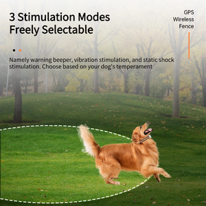 Portátil inalámbrico multifuncional GPS satélite fijo electrónico perro sonido vibración entrenamiento valla electrónica <span class=keywords><strong>collar</strong></span> de choque - Product Image 4