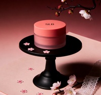 Pot en plastique de qualité alimentaire double couche de luxe en PETG avec bouchon à vis pour produits cosmétiques, soins de la peau, lotion, crème capillaire, gel douche