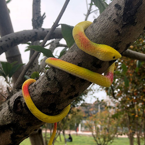 Serpent réaliste en caoutchouc souple de 75 cm, jouet de farce, gadget pour blagues et tours - Product Image 2