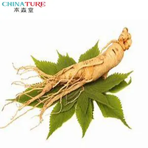 ALL-HEALING man root Old Chinese Herbal extrat natural Asian panax ginseng root extract