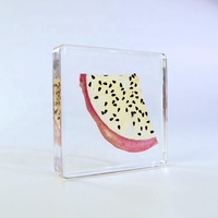 Echte Plant Specimen Blok Kristalhars Transparant Hars Decoratie Ontwerp Droog Fruit Plakjes Specimen