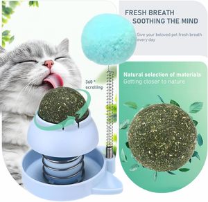 Juguete Multifuncional Giratorio para Gatos con Hierba Gatera y Menta, Pelota de Hierba Gatera para Limpieza Dental, Juguete de Aguacate con Hierba Gatera - Product Image 3
