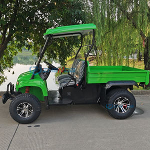 Disesuaikan kargo hijau Jeep transportasi khusus tahan lama multiguna listrik Jeep oleh produsen - Product Image 6