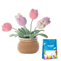 Anfänger Häkel-Blumentopf-Set DIY Topfpflanzen-Häkelset mit Garn und Häkelhaken