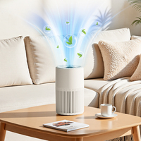 Penjernih Udara HEPA Rumah Tangga Grosir dengan Filter Efisiensi Tinggi, Pembersih Udara Portabel Senyap untuk Kamar Tidur dan Kantor