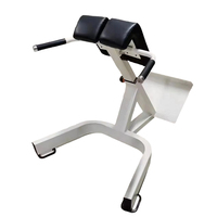 Banc de musculation commercial pliable à 45 degrés pour extensions dorsales, chaise romaine réglable, banc de presse, banc d'hyperextension et banc de redressements assis