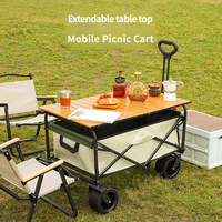 Chariot de camping pliable pour l'extérieur, chariot à main portable pour pique-nique, excursions en plein air et camping