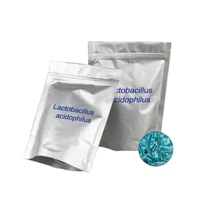 Lactobacillus Acidophilus HH-LA26 200 Miliar Cfu/G Probiotik Bubuk Curah Suplemen Nutraceutical ISO HACCP Factory