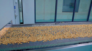 Horno de Túnel, Línea de Producción de Galletas Duras Totalmente Automática, Máquina de Fabricación de Galletas, Equipo de Ensamblaje, Fábrica de Alimentos - Product Image 4
