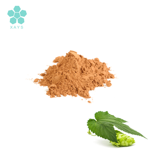 อาหารเสริมฮอปส์ ดอกฮอป สารสกัดจากดอกไม้ Xanthohumol 10% ผง - Product Image 3