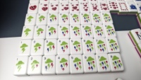 3-Schichtige Moderne Luxuriöse Amerikanische Mahjong-Steine 160 Stück Umweltfreundlich Wasserbeständig Individuell Bedrucktes Acryl-Spiel Geschenk für Frauen & Männer