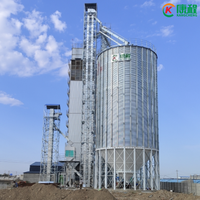 Silo Verticale in Acciaio Inox con Fondo Conico, Capacità 500T-1000T, Assemblaggio Imbullonato, Zincato, per Uso in Allevamenti Avicoli e Stoccaggio