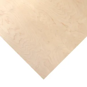 Brand new 100% faced birch plywood with alder made in China