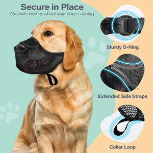 Fournitures d'entraînement pour animaux de compagnie : Muselière pour chien anti-morsure, anti-aboiement et anti-mastication, en maille respirante et douce, cache-bec. - Product Image 2
