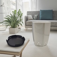 Pot en plastique style lotus avec plateau, style ferme, écologique, pour orchidées et clivia, vente en gros, usage jardin et maison