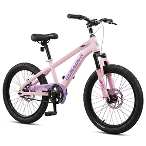 Bicicleta Infantil Clásica de Acero de Una Velocidad con Horquilla de Suspensión, Freno de Disco y Canasta de Plástico, Tamaños 16, 18, <span class=keywords><strong>20</strong></span>, 22 <span class=keywords><strong>Pulgadas</strong></span>, para Entrenamiento MTB - Product Image 2