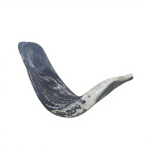 AZ ENTERPRISES Corne de bélier naturelle brute authentique non finie pour la fabrication de shofars religieux traditionnels et l'artisanat - Product Image 3