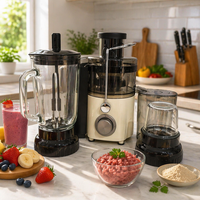 Mini mixeur centrifugeuse 4-en-1 multifonctionnel pour cuisine, avec boîtier en acier inoxydable, capacité de 800 ml, moteur 800 W, fonction hachoir, trancheur et râpe