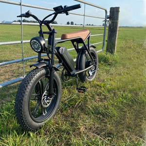 Vélo de <span class=keywords><strong>montagne</strong></span> électrique à pneus super larges de haute qualité, vélo électrique 20 pouces tout-terrain, vélo électrique 1000W Tamobyke H9 - Product Image 1
