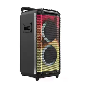 Longwind hot selling portable partybox 2*10" big woofer speaker audio DJ wireless karaoke disco light audio speaker power pro