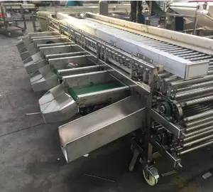 Fabrik Direkt versorgung Kartoffel-Sortierwalzen maschine Zwiebel-Sortiermaschine Obsts ortier maschine