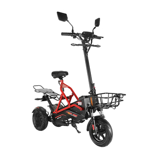 Scooter Eléctrico Fasuer Pass EEC OEM de 3 Ruedas, 48V23.4Ah, Motor Dual, para Adultos - Product Image 4