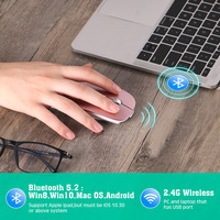 Souris optique mini double mode sans fil BT 5.2 + 2.4G avec récepteur USB-A Type-C, compatible avec tous les systèmes pour ordinateur portable, PC, iPad
