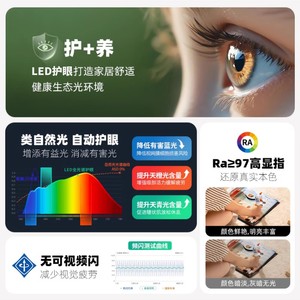 Lámpara de Techo LED de Estilo Vintage Francés con Diseño Floral, Espectro Completo RG0, Protección Ocular - Product Image 6