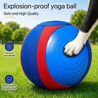 Ballon de pâté de 45 cm en nylon 1680D imperméable pour chats agressifs, chevaux et bétail, idéal pour l'extérieur, le parc et le jeu, avec housse amovible