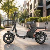 Vélo Électrique Urbain 14 Pouces à Cadre en Acier, Frein à Câble, VTT Électrique à Cadre Bas avec Batterie Amovible pour Adultes - Vente en Gros Usine OEM