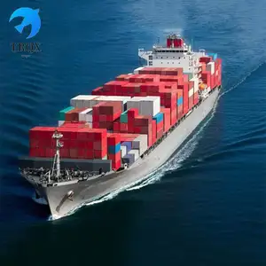 Logistics Services Egypt International Provider China To Pakistan Philippines Cost Calculator Bangladesh Freight To Samoa