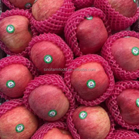 Verse Fuji Appels Premium Kwaliteit Zoet en Knapperig Rood Fruit voor Groothandel Bulk Export Vanuit Chinese Fabriek Directe Levering