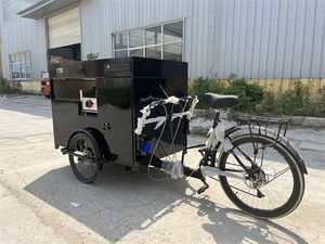 Tricycle de Vente Ambulante Personnalisé avec Logo pour Hot-dogs, Crêpes et Plats Chauds - Product Image 6