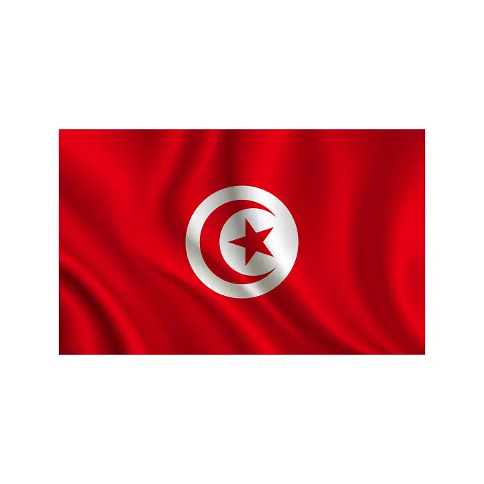 Novo Produto de Alta Qualidade Melhor Preço Fábrica Fornecer Diretamente Hot Selling 3x5FT 150x90cm Sublimação Campanha Custom Tunisia Flag